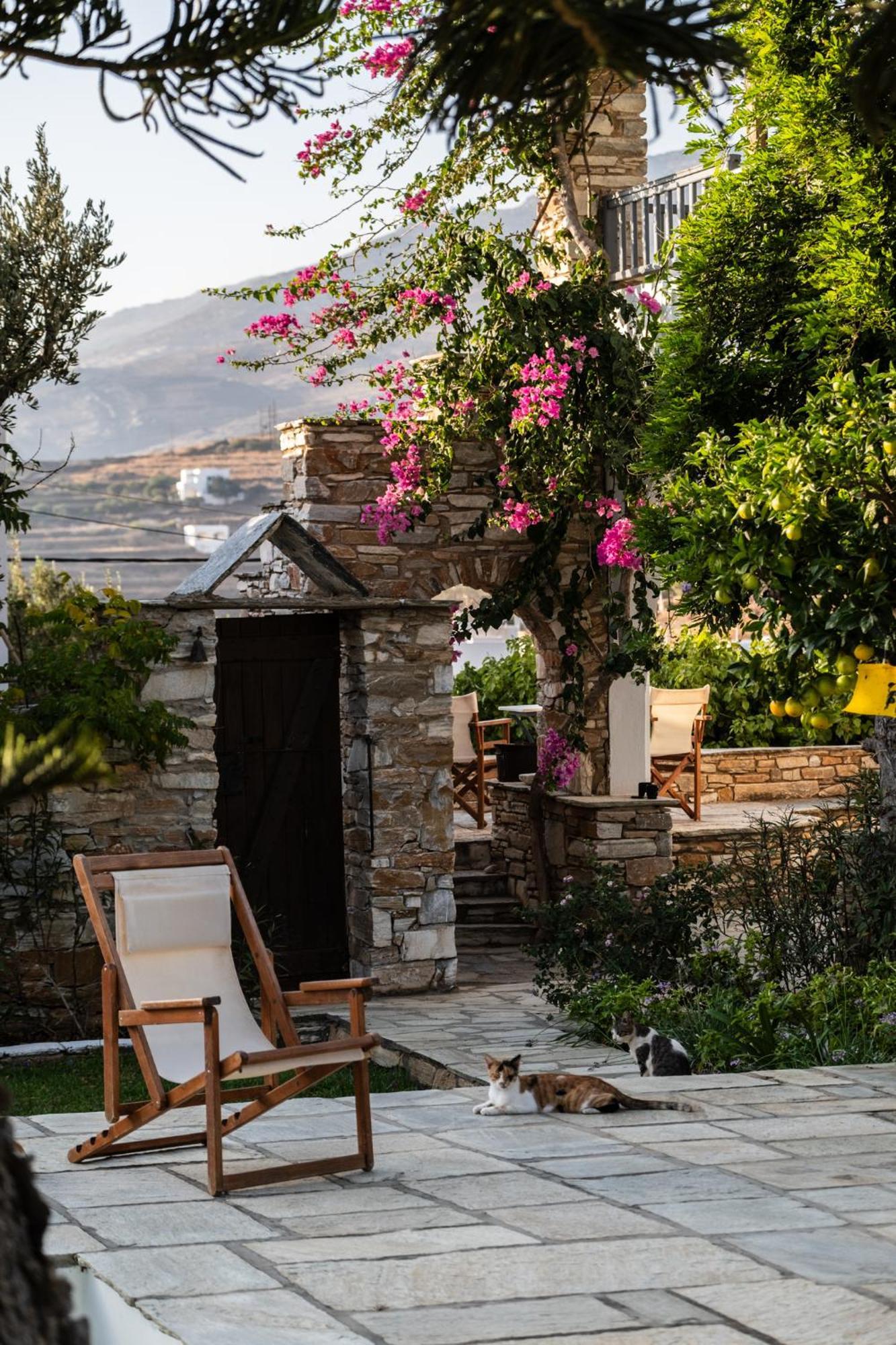 Romano garden house - land tales Agios Romanos Exterior foto