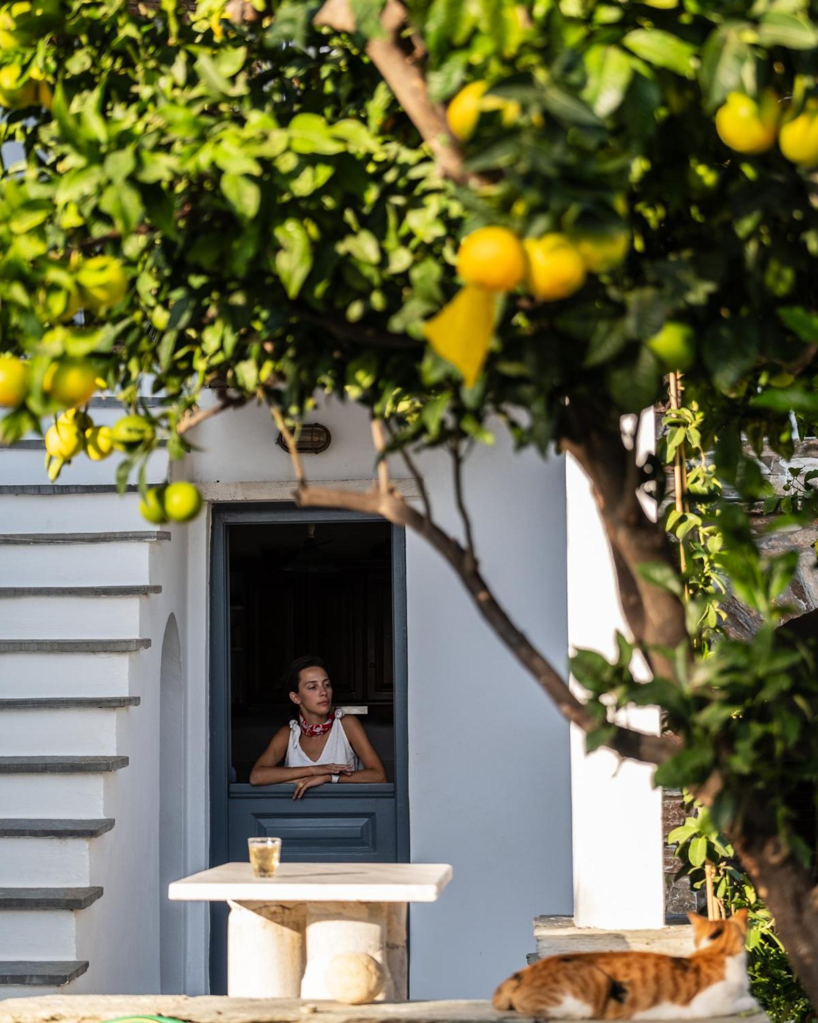 Romano garden house - land tales Agios Romanos Exterior foto