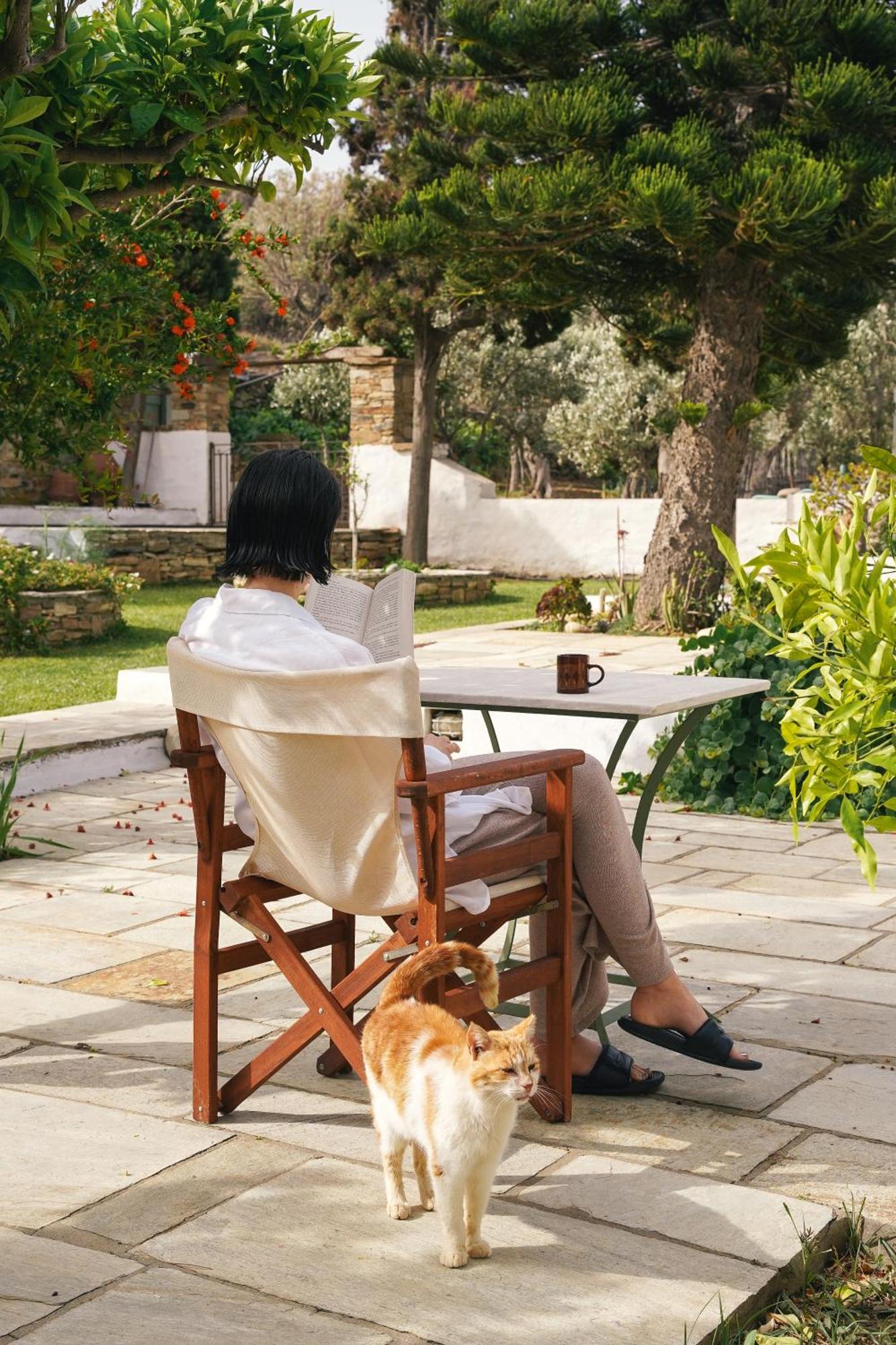 Romano garden house - land tales Agios Romanos Exterior foto